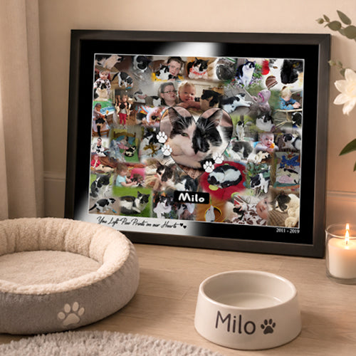 Pets gifts from Domore Ireland