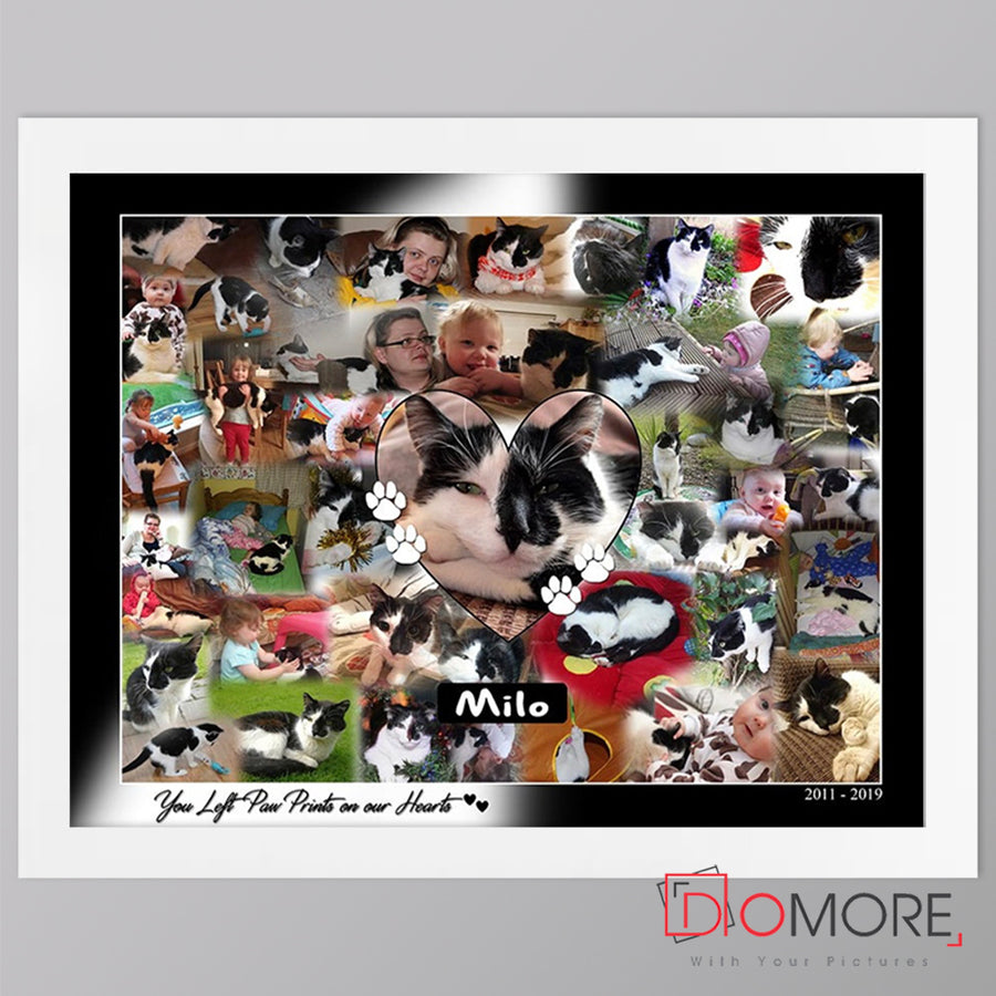 Pet Memorial Framed Photo Collage