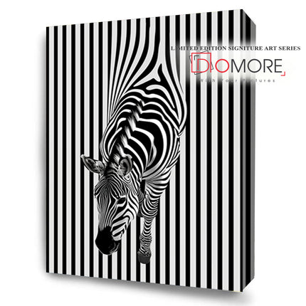 Zebra Crossing FusionVista Exclusive Art Series