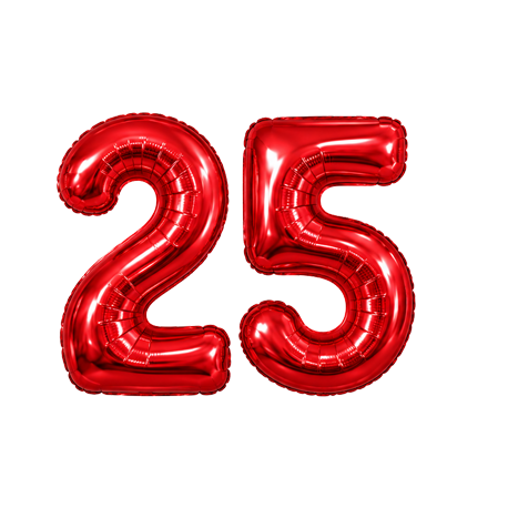 25th Silver Wedding Anniversary