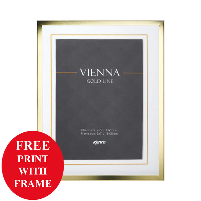 antique gold photo frame with mount - domore ireland