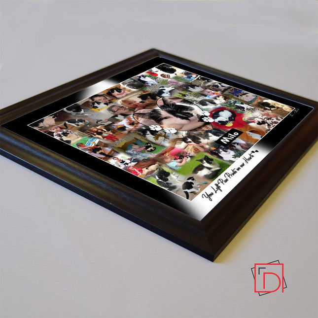 Pet Memorial Framed Photo Collage