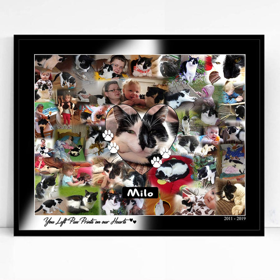 Pet Memorial Framed Photo Collage
