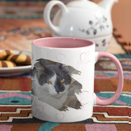 Purrfect Pet Personalised Photo Mug