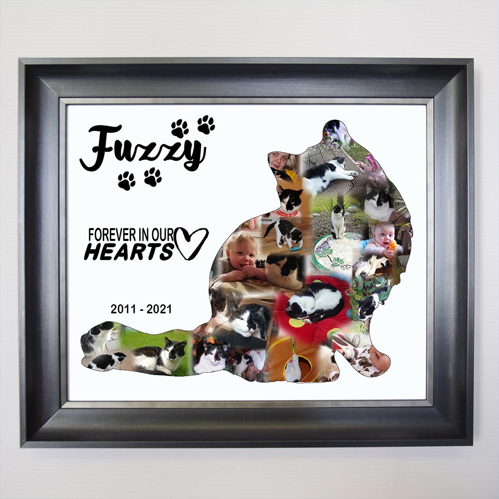 Our Little Pet framed Photo Collage
