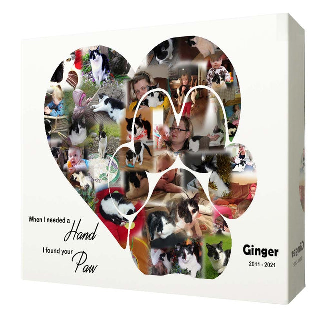 Heart & Paw Memorial Photo Collage On Canvas
